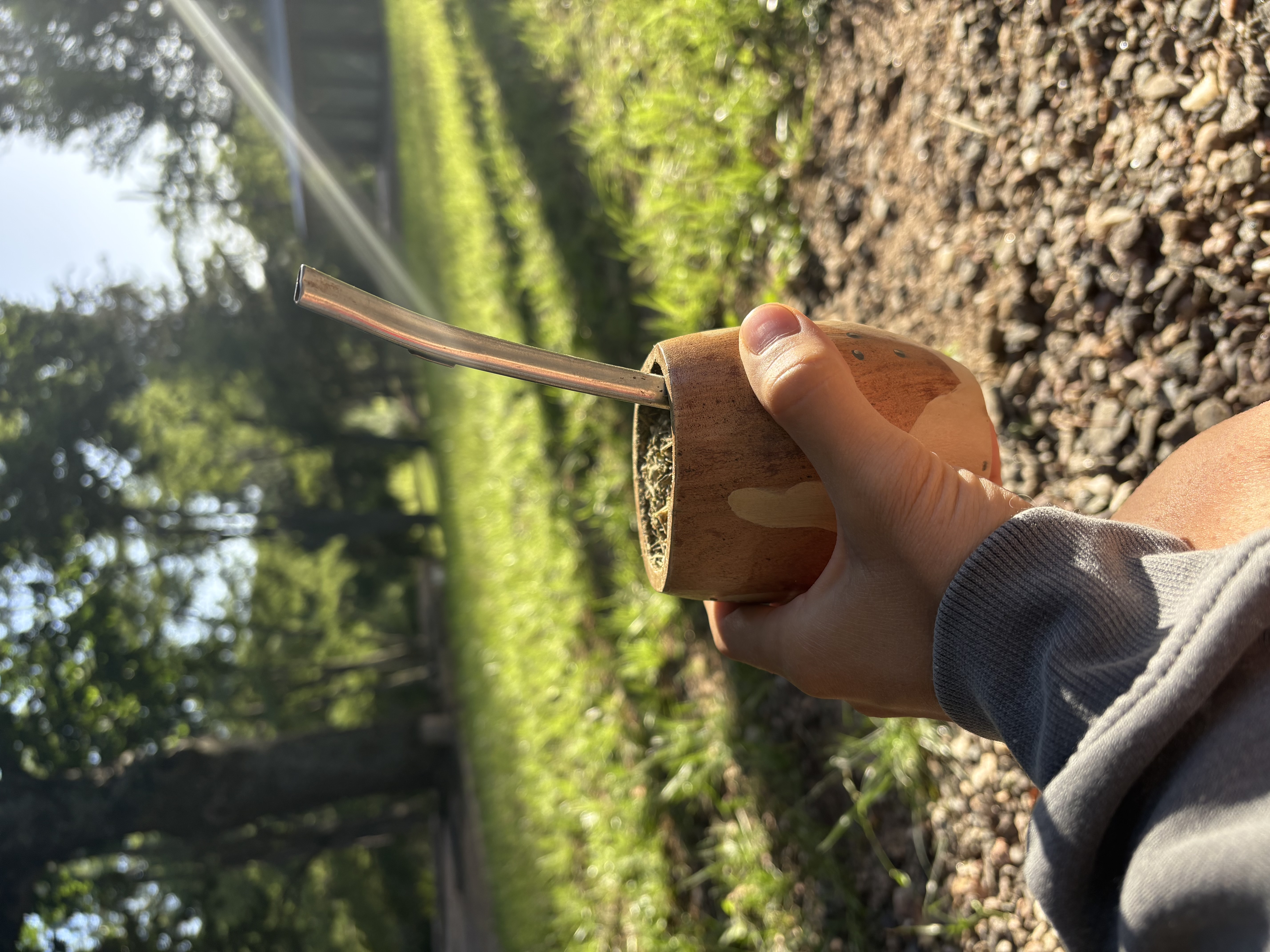 Mate en la huerta — un poco más sana